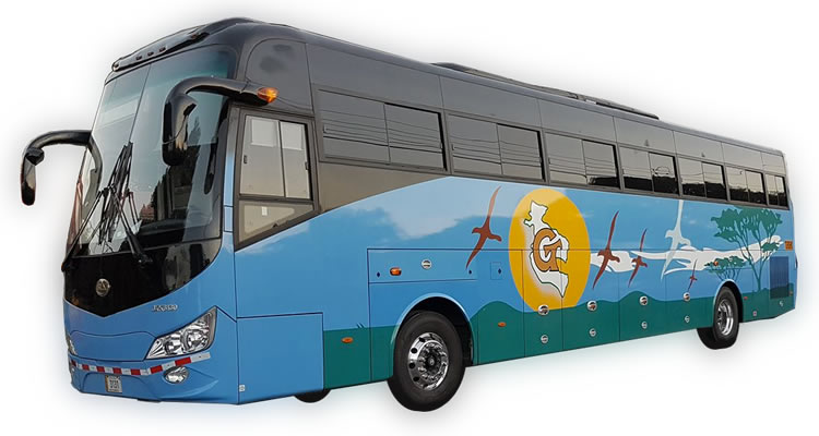 See All Routes shuttle tickets